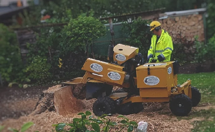 Arbeiter bedient Baumwurzelfräse